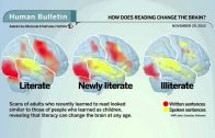 Science Bulletins: How Does Reading Change the Brain?