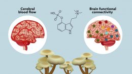 Psilocybin-may-reset-the-brain-to-help-manage-treatment-resistant-depression