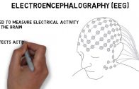 2-Minute-Neuroscience-Electroencephalography-EEG